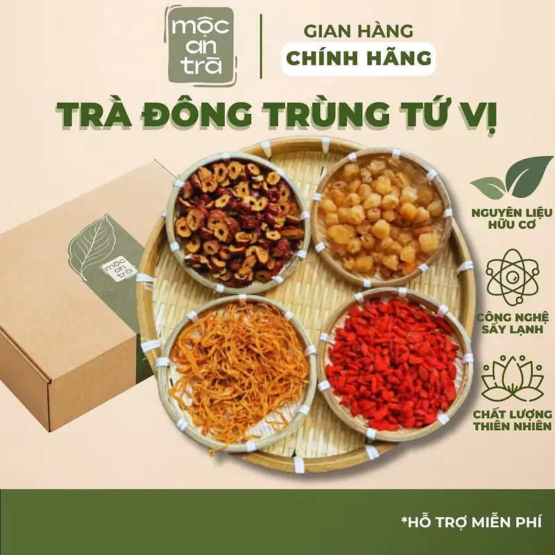 Trà Đông Trùng Hạ Thảo Tứ Vị Mộc An Trà -Táo Đỏ, Kỷ Tử, Long Nhãn, Đông Trùng | Bồi Bổ Sức Khỏe - Main image